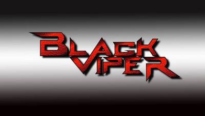 logo Black Viper logo Black Viper